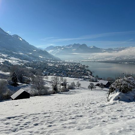 Verena'S Boutique Villa Au Lac ซัคไซน์ ภายนอก รูปภาพ