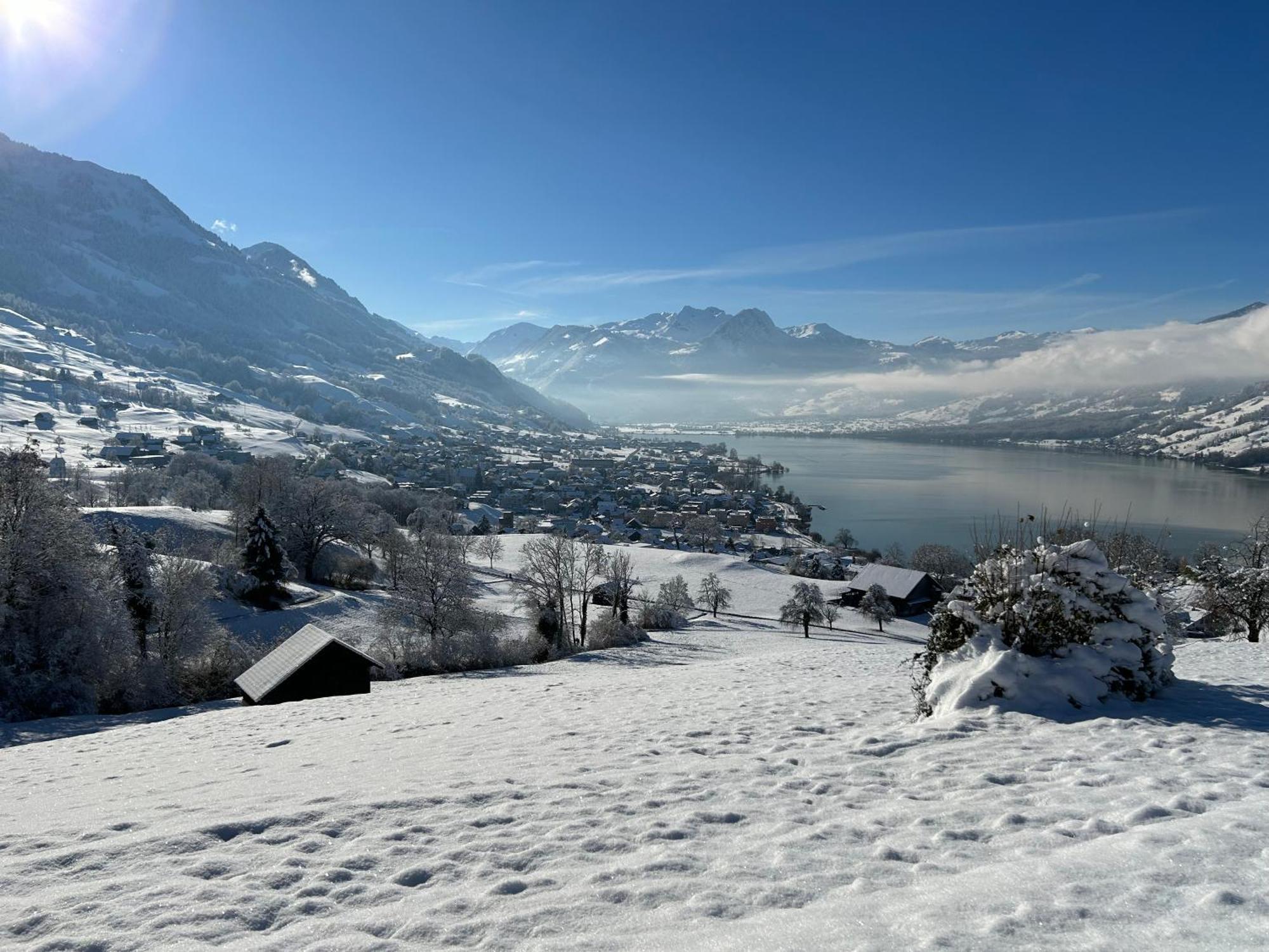 Verena'S Boutique Villa Au Lac ซัคไซน์ ภายนอก รูปภาพ